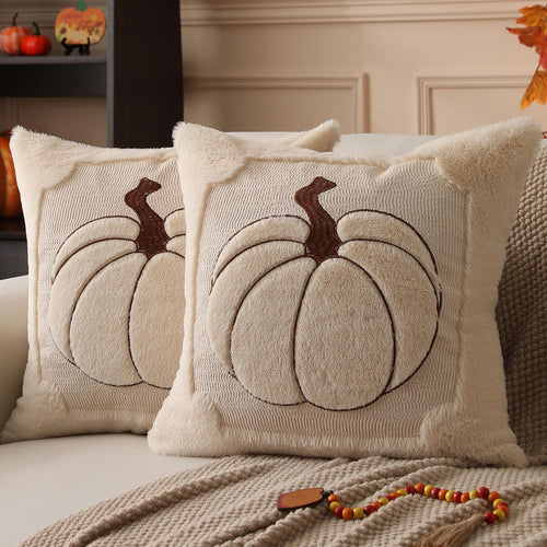 Allorry Fall Pillow Covers 18x18 2 Pack Beige Pumpkin Home Decor PT010A18